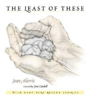 The Least of These: Rescue and Rehabilitation of Wild Baby Birds by Joan Harris, Jane Goodall