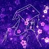 plumpages's profile picture