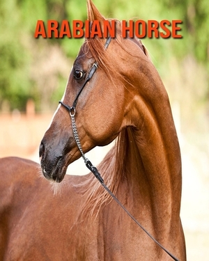 Arabian Horse: Learn About Arabian Horse and Enjoy Colorful Pictures by Diane Jackson