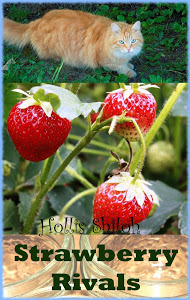 Strawberry Rivals by Hollis Shiloh