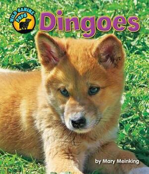 Dingoes by Mary Meinking