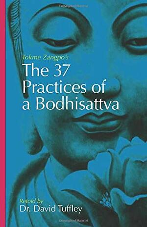 The 37 Practices of a Bodhisattva: Tokme Zangpo's classic 14th Century guide for travellers on the path to enlightenment by David Tuffley