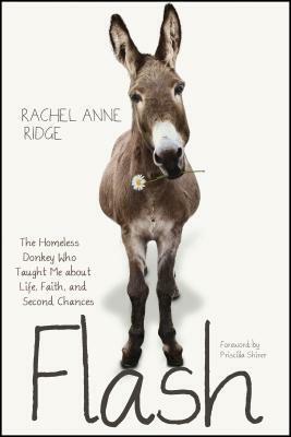 Flash: The Homeless Donkey Who Taught Me about Life, Faith, and Second Chances by Priscilla Shirer, Rachel Anne Ridge