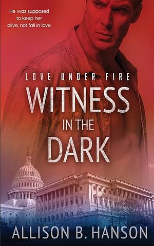 Witness in the Dark by Allison B. Hanson