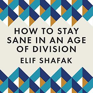 How to Stay Sane in an Age of Division by Elif Shafak
