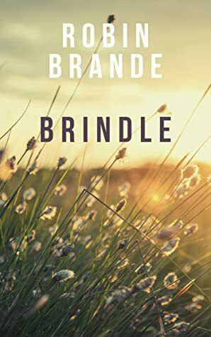 Brindle by Robin Brande