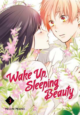 Wake Up, Sleeping Beauty, Volume 3 by Megumi Morino