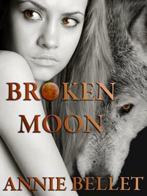 Broken Moon by Annie Bellet