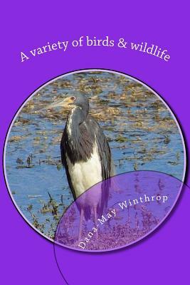 A variety of birds & wildlife by Dana-May Winthrop