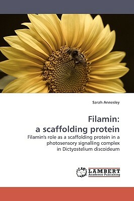 Filamin: A Scaffolding Protein by Sarah Annesley