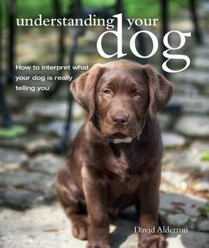 Understanding Your Dog: How to Interpret What Your Dog Is Really Telling You by David Alderton