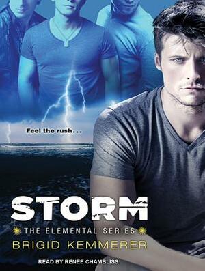 Storm by Brigid Kemmerer