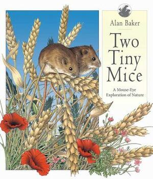 Two Tiny Mice: A Mouse-Eye Exploration of Nature by 