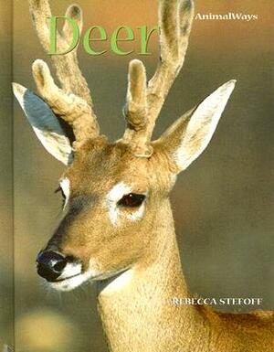 Deer by Rebecca Stefoff