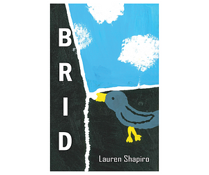 Brid by Lauren Shapiro
