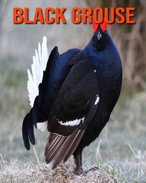 Black Grouse: Learn About Black Grouse and Enjoy Colorful Pictures by Diane Jackson