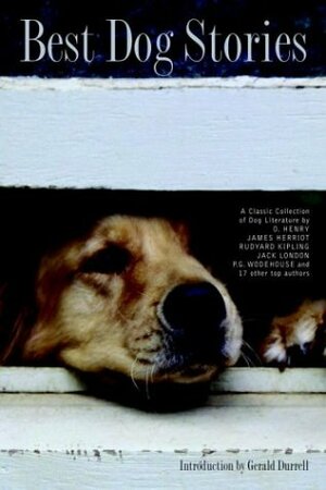Best Dog Stories by Lesley O'Mara