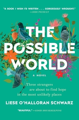 The Possible World by Liese O'Halloran Schwarz