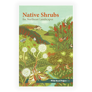 Native Shrubs for Northeast Landscapes by Nancy J. Hayden, Anna Fialkoff, Andrea Berry, Jess Gildea, Emily Baisden, Heather McCargo