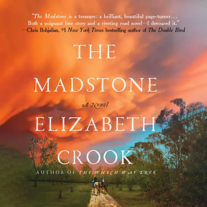 The Madstone by Elizabeth Crook