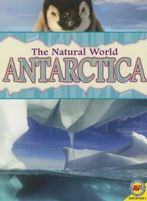 Antarctica by Steve Goldsworthy