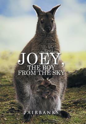 Joey, the Boy from the Sky by Fairbanks