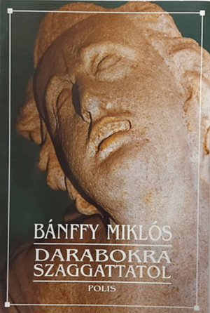 Darabokra szaggattatol: a fali írás harmadik szava, 1940, Volume 3 by Miklós Bánffy