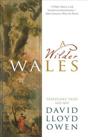 A Wilder Wales: Traveller's Tales 1610-1831 by David Lloyd Owen