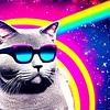 sgwizdak's profile picture