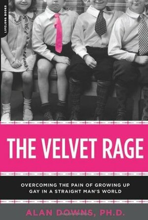 The Velvet Rage: Overcoming the Pain of Growing Up Gay in a Straight Man's World by Alan Downs