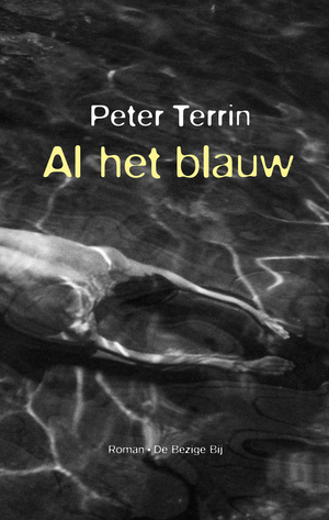 Al het blauw by Peter Terrin