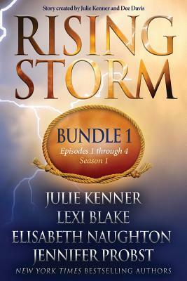 Rising Storm: Bundle 1, Episodes 1-4 by Dee Davis, Julie Kenner