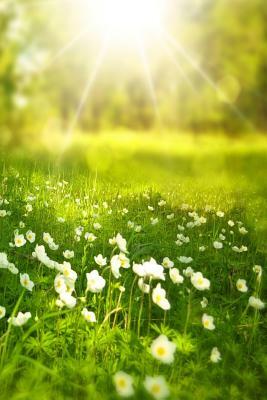 Spring: Spring Is One of the Four Conventional Temperate Seasons, Following Winter and Preceding Summer. There Are Various Tec by Planners and Journals