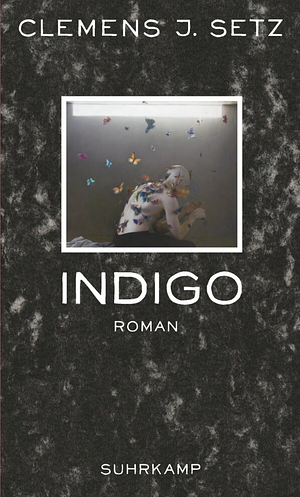 Indigo by Clemens J. Setz