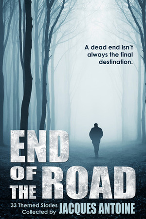 End of the Road by Angeline Perkins, J.R.C. Salter, Jacques Antoine, David A. Cuban, Chris Ward, Saxon Andrew, Russell Blake, E.B. Boggs, L.S. Burton, John Daulton, Robert C. Thomas, Stephen Arseneault, J.B. Raleigh, Scott Langrel, Suzie O'Connell, Anna J. McIntyre, Vel R., Shirley Bourget, Dale Roberts, Donna B. McNicol, Thomas Jenner, Alison Blake, Jess Mountifield, Randall Morris, C.A. Newsome, Traci Tyne Hilton, Sherrie Giddens, Camellifolia, Brandon Hale, James Rozoff, Mike Meyer, Doug Hayes