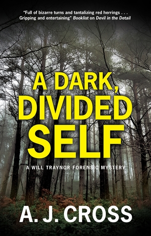 A Dark, Divided Self by A.J. Cross
