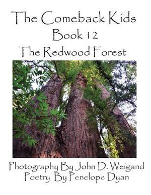 The Comeback Kids, Book 12, the Redwood Forest by Penelope Dyan