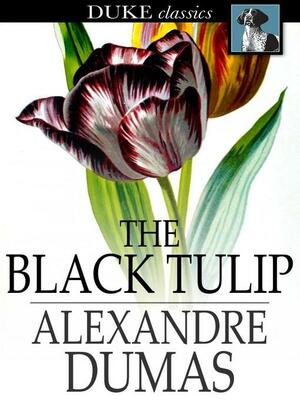 The Black Tulip by Alexandre Dumas, Robin Buss
