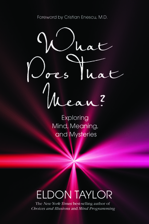 What Does That Mean?: Exploring Mind, Meaning, and Mysteries by Eldon Taylor