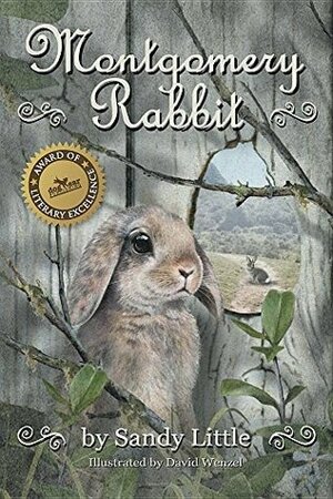 Montgomery Rabbit by Sandy Little, David Wenzel