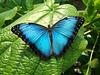 booksand_butterflies's profile picture