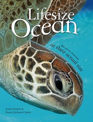Lifesize: Ocean by Anita Ganeri, Stuart Jackson-Carter