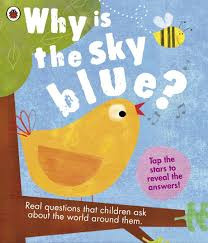 Why is the Sky Blue? by Ladybird Books