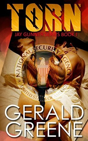 Torn: Young Adult and Contemporary Adult Romance. (Jay Gunner Series, Book 1) by Gerald Greene