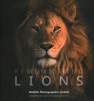 Remembering Lions by Margot Raggett, Wildlife Photographers United