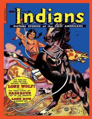 Indians #17 by Fiction House