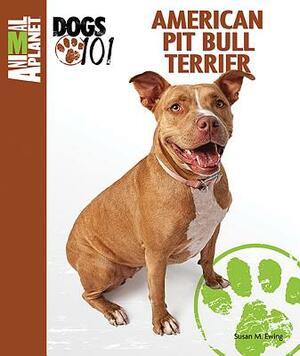 American Pit Bull Terrier by Susan M. Ewing