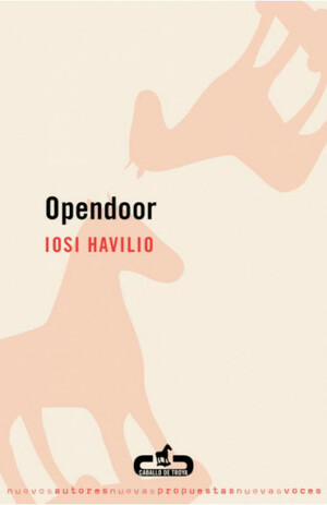 Open Door by Iosi Havilio
