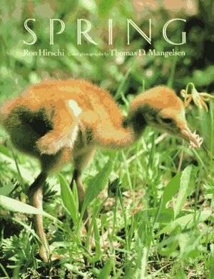 Spring by Ron Hirschi, Thomas D. Mangelsen