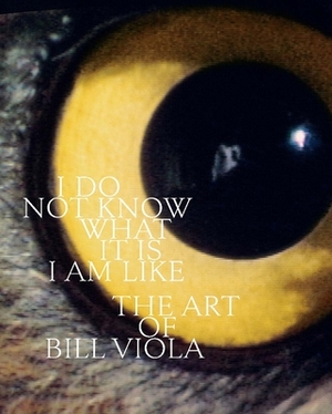 I Do Not Know What It Is I Am Like: The Art of Bill Viola by John Hanhardt